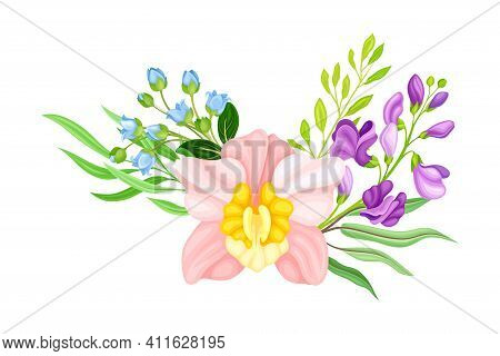 Pink Orchid Bloom With Labellum And Floral Branches Vector Illustration