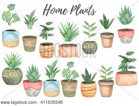 Watercolor Illustration With Home Plants Monstera, Dracena, Sansevieria Isolated On White Background