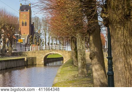 Pollard Willows At The Central Canal Of Sloten, Netherlands