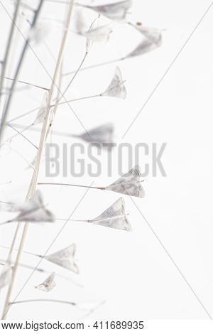 Vertical Romantic Wedding Cool Tone Blue Color Little Dry Heart Shape Flowers Minimalistic Nature Ma