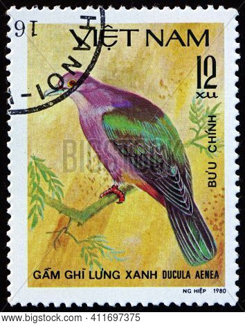 Vietnam - Circa 1981: A Stamp Printed In Vietnam Shows Green Imperial Pigeon, Ducula Aenea, Is A Lar