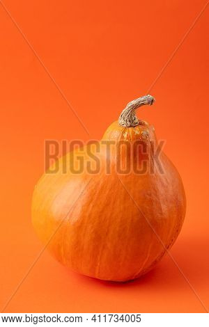 Teksture Of Orange Pumpkin On The Orange Background