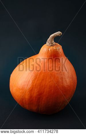 Teksture Of Orange Pumpkin On The Orange Background