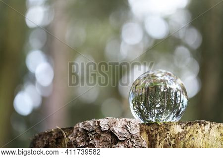 Earth Day Concept.ecological Concept.glass Ball With Forest Reflection On A Stump In The Forest. Env