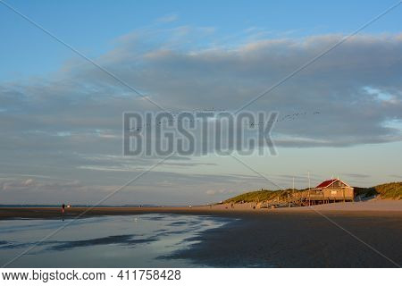 Beach House And Sandy Beach At Low Tide On The North Sea Coast In Renesse, Netherlands
