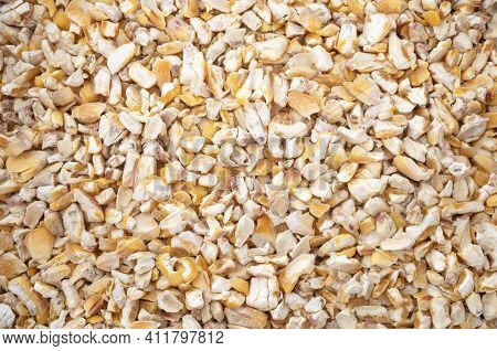 Dried Corn In Front Of White Background