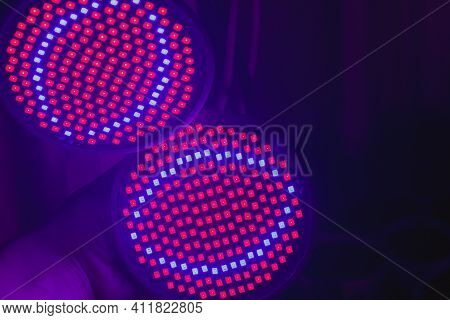 Phytolamp With Red And Blue Leds For Growing And Lighting Plants.