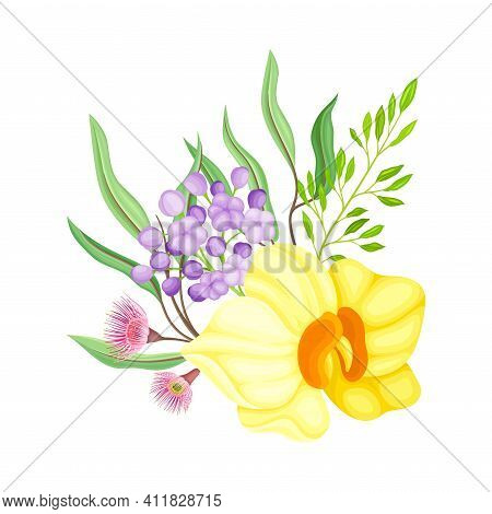 Yellow Orchid Bloom With Labellum And Floral Branches Vector Illustration