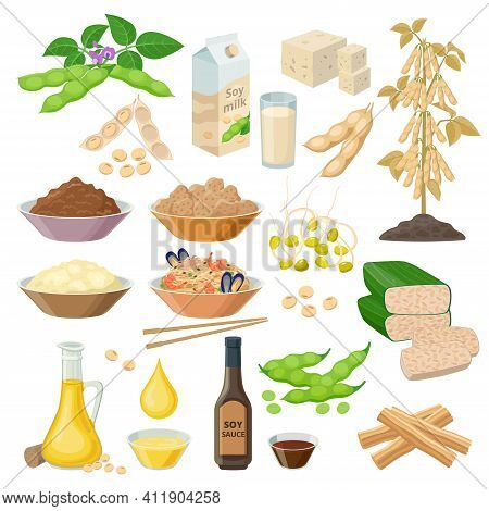 Soybean Products, Food From Soya Beans - Set Of Vector Illustrations, Icons Isolated On White Backgr