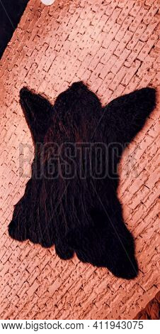 A Bear Skin Hanging In Wall Of The Coffeshop