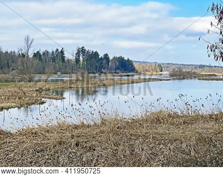 Flach Lake Or Flachsee In The Natural Protection Zone Aargau Reuss River Plain (naturschutzzone Aarg