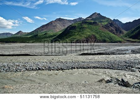 Denali's Toklat River