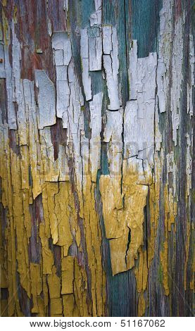 Cracked Surface Oil Paint