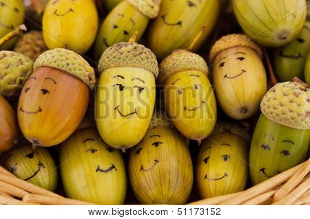 Acorns