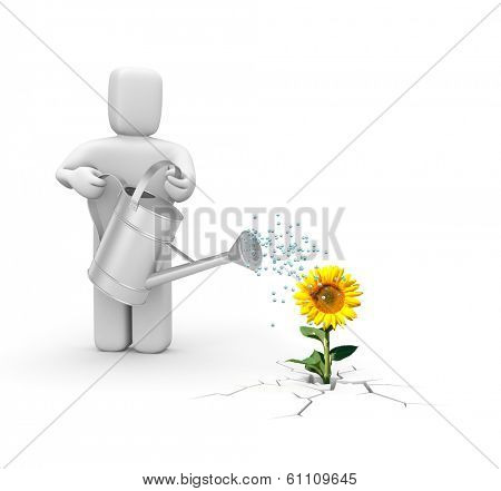 Worker with watering can and sunflower