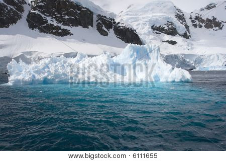 Iceberg