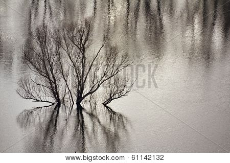 Lake flood