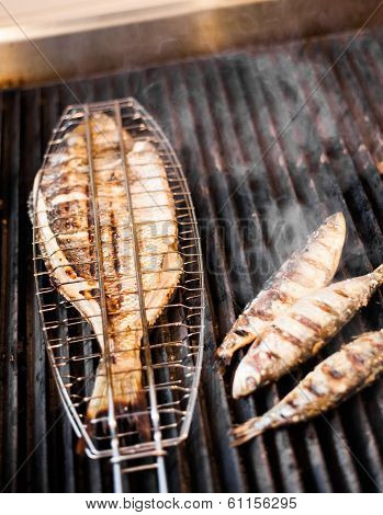 Fish On The Grill
