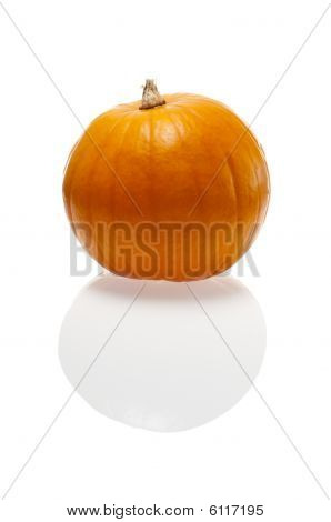 Halloween Edible Pumpkin Ready To Open
