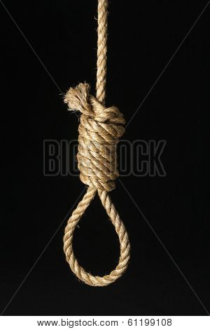 Rope tied in noose knot on black background