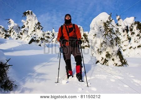 hiking in the mountains.
