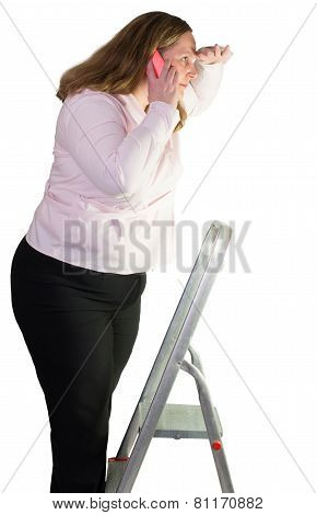 Business woman and step ladder