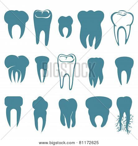 Human teeth set
