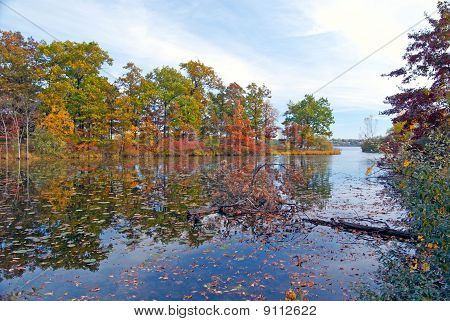 Colores de otoño por la bahía