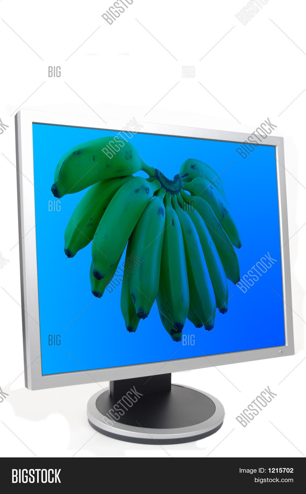 Image Preview