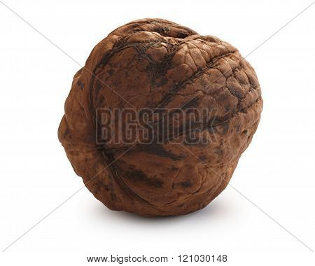 Whole Shelled Walnut