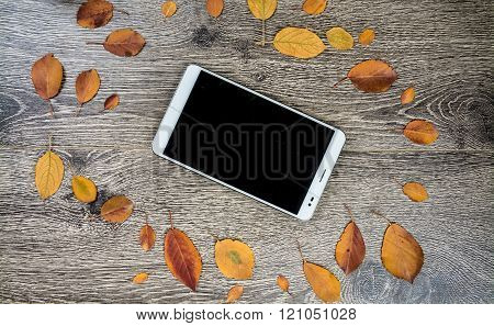gadget on wood and leaves