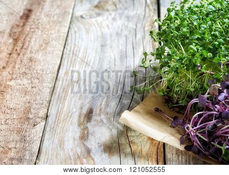 Various Sprouts