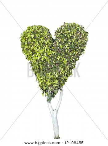 heart tree