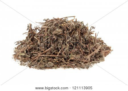 Tulsi holy basil herb used in natural alternative herbal medicine over white background.