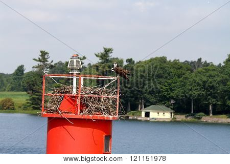 perch for birds on the St. Lawrence in Kingston (Ontario) , Canada