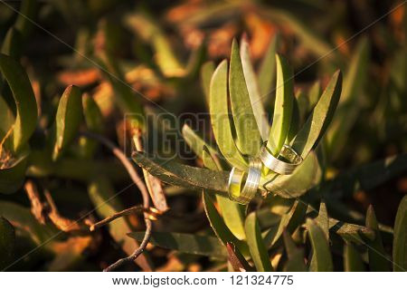 Beautiful wedding rings on a brach taken in Rhodes island Greece