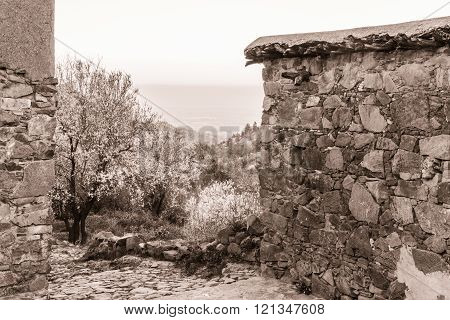 Fikardou village scene with blooming almond trees- sepia toned