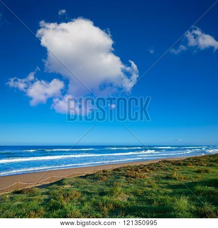 Tavernes de Valldigna beach dunes in Valencia of Spain
