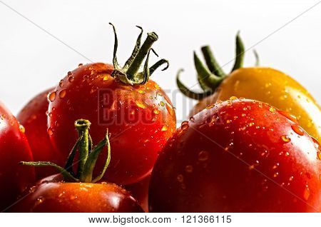 Red And Yellow Tomatoes With Drops Of Water