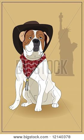 Bulldog américain