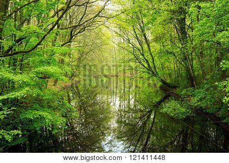 spring in Amsterdamse bos park near Amaterdam