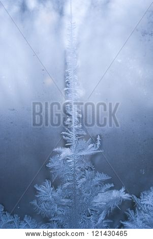 Frostwork on a window glass