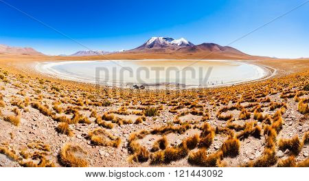 Lake, Bolivia Altiplano