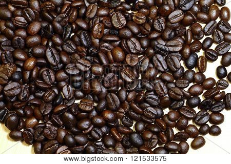 this is photo  coffee beans.