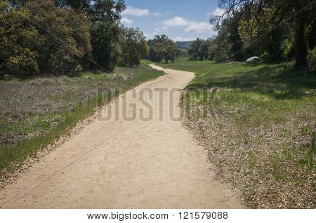 Follow The Path