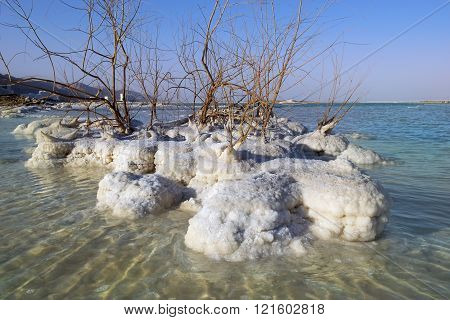 salt deposits, typical landscape of the Dead Sea, Israel