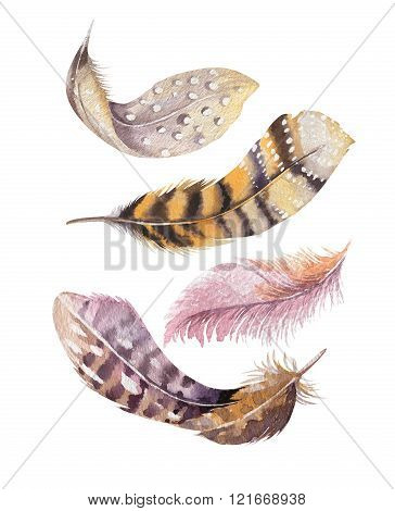 Hand Drawn Watercolor Paintings Vibrant Feather Set. Boho Style
