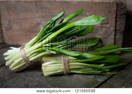 Fresh harvest of spring ramson or wild leek herbs bunch