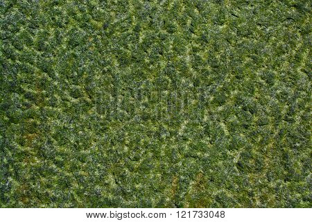 Colored Old Grunge Stone Texture