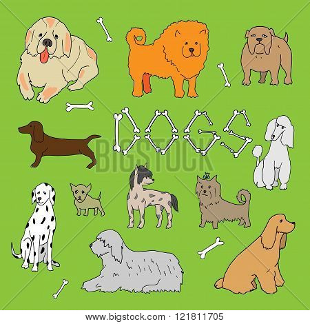 Dogs. Doodle set in vector isolated on a green background.